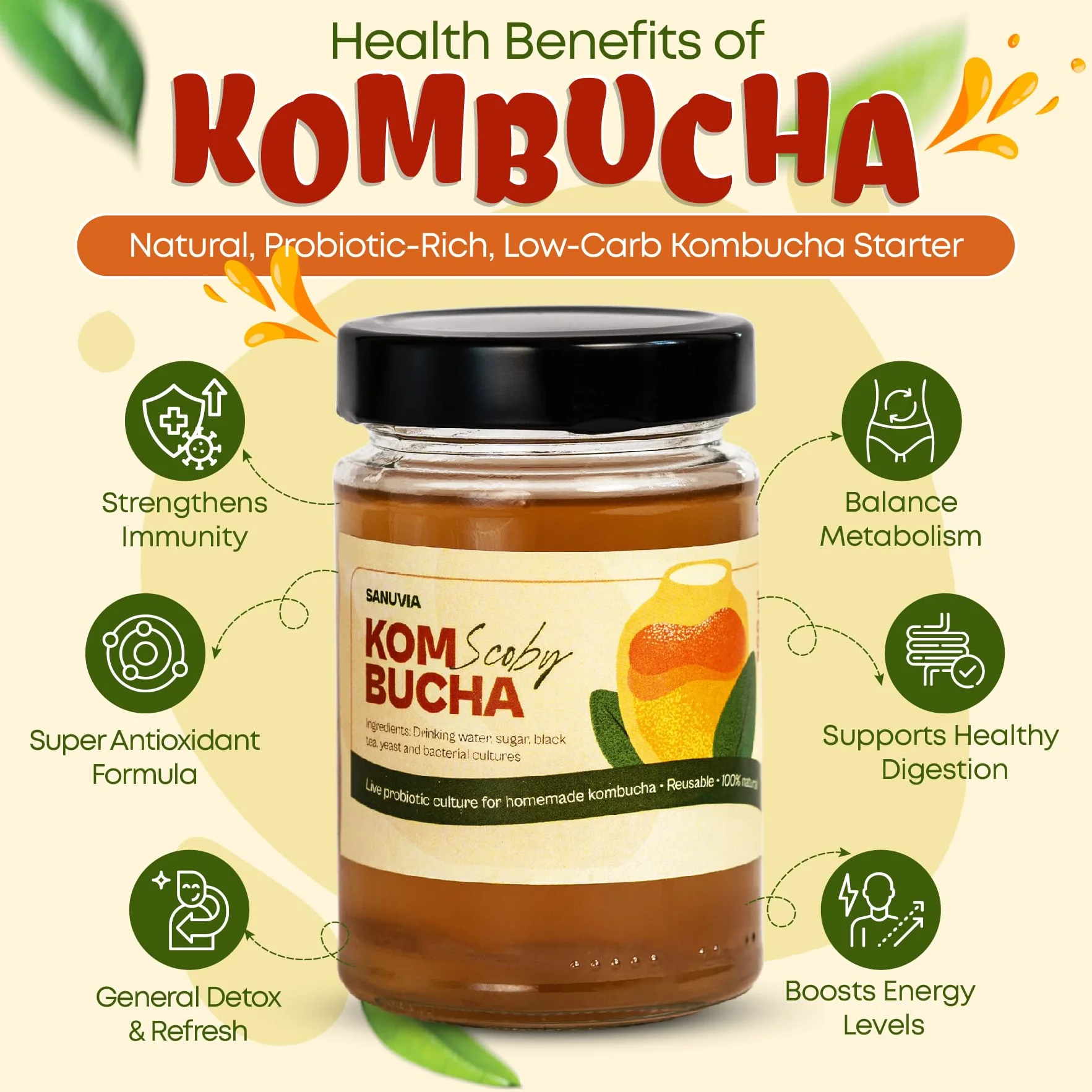 SANUVIA Kombucha SCOBY Starterkultur - Teepilz mit 300 ml Startertee im Glas - Vegan, Live-Kultur, wiederverwendbar - Anleitung auf Etikett - 100% natürlich