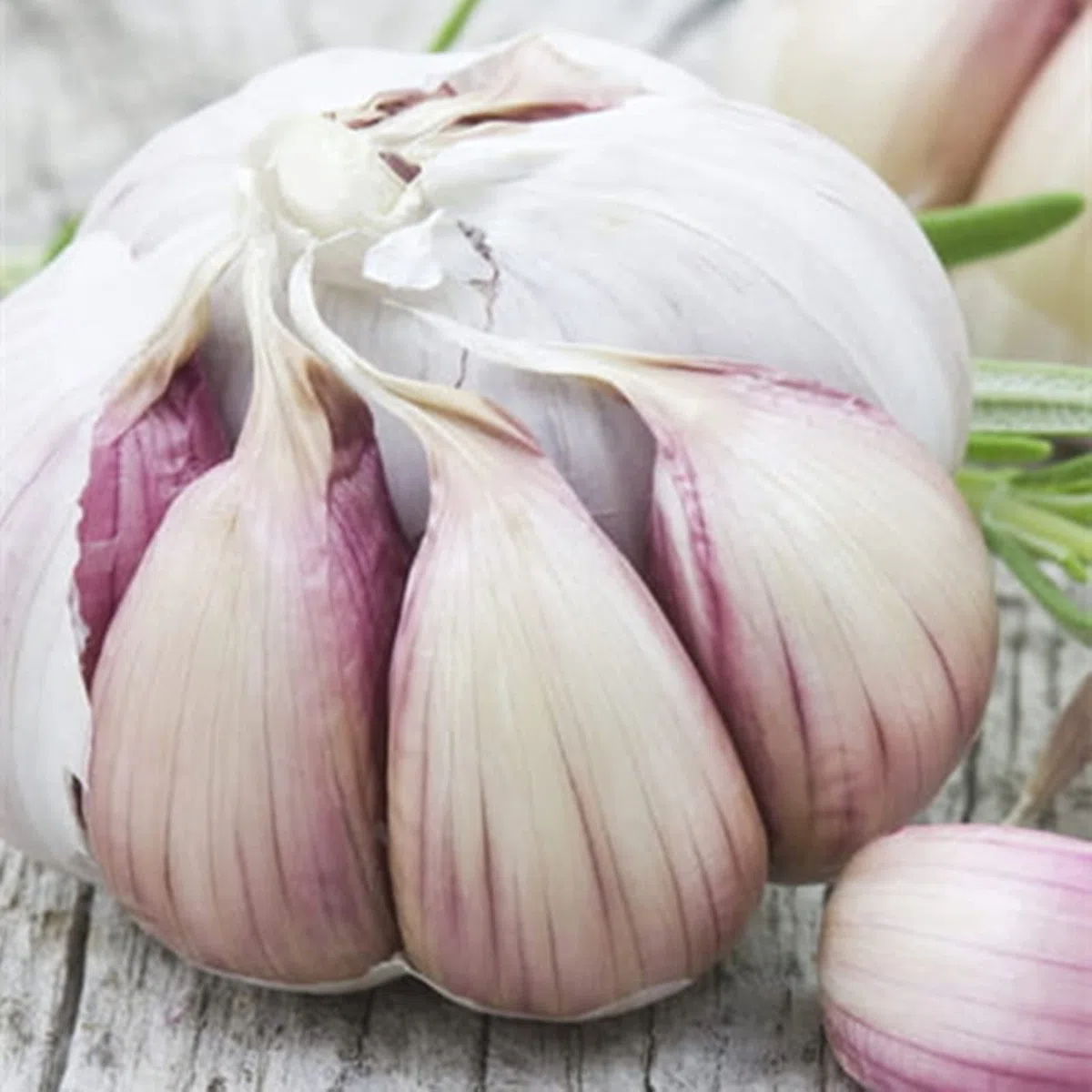 Knoblauchknollen,Bio Knoblauch,Importierter Knoblauch,Starke Knoblauchknollen,Leicht zu sprießen,Reine natürliche Knoblauchknolle,Starke Kältebeständigkeit-200g,a