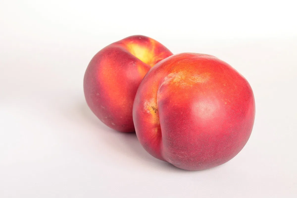 Nektarinen weiß, große Früchte 10 Stück