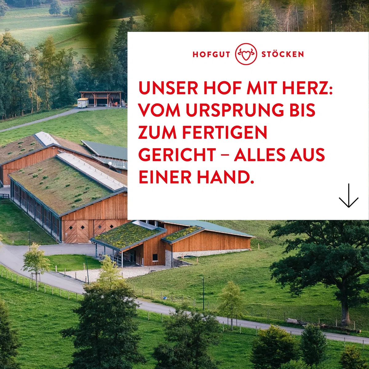 Hofgut Stöcken | Bio-Chili con Carne vom Testsieger | Bio-Fertiggericht im Glas | ohne Zusatzstoffe (620ml)