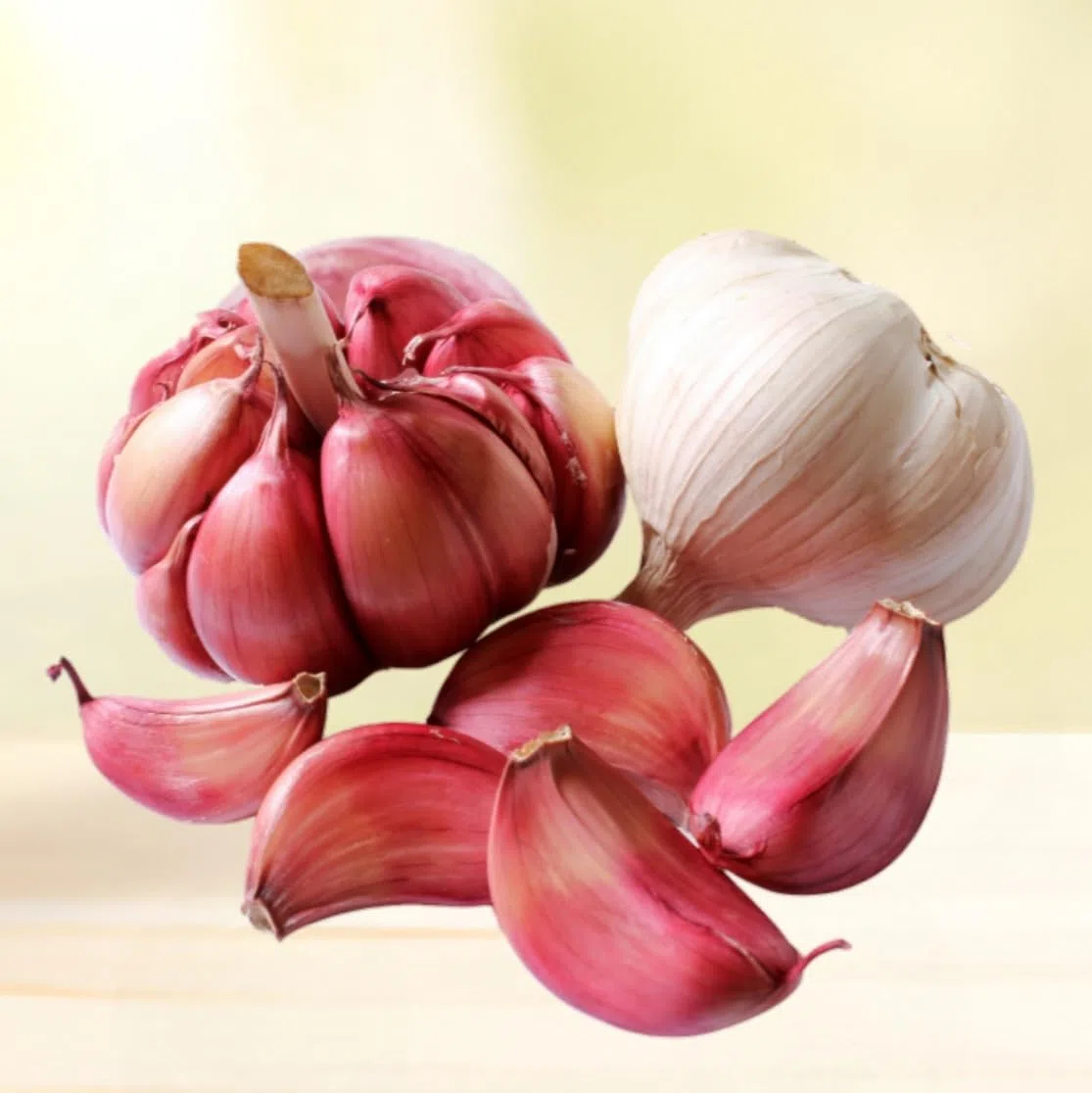 Hochwertiger violetter Knoblauch - aus Spanien - eine der edelsten Knoblauchsorten der Welt (500 g)