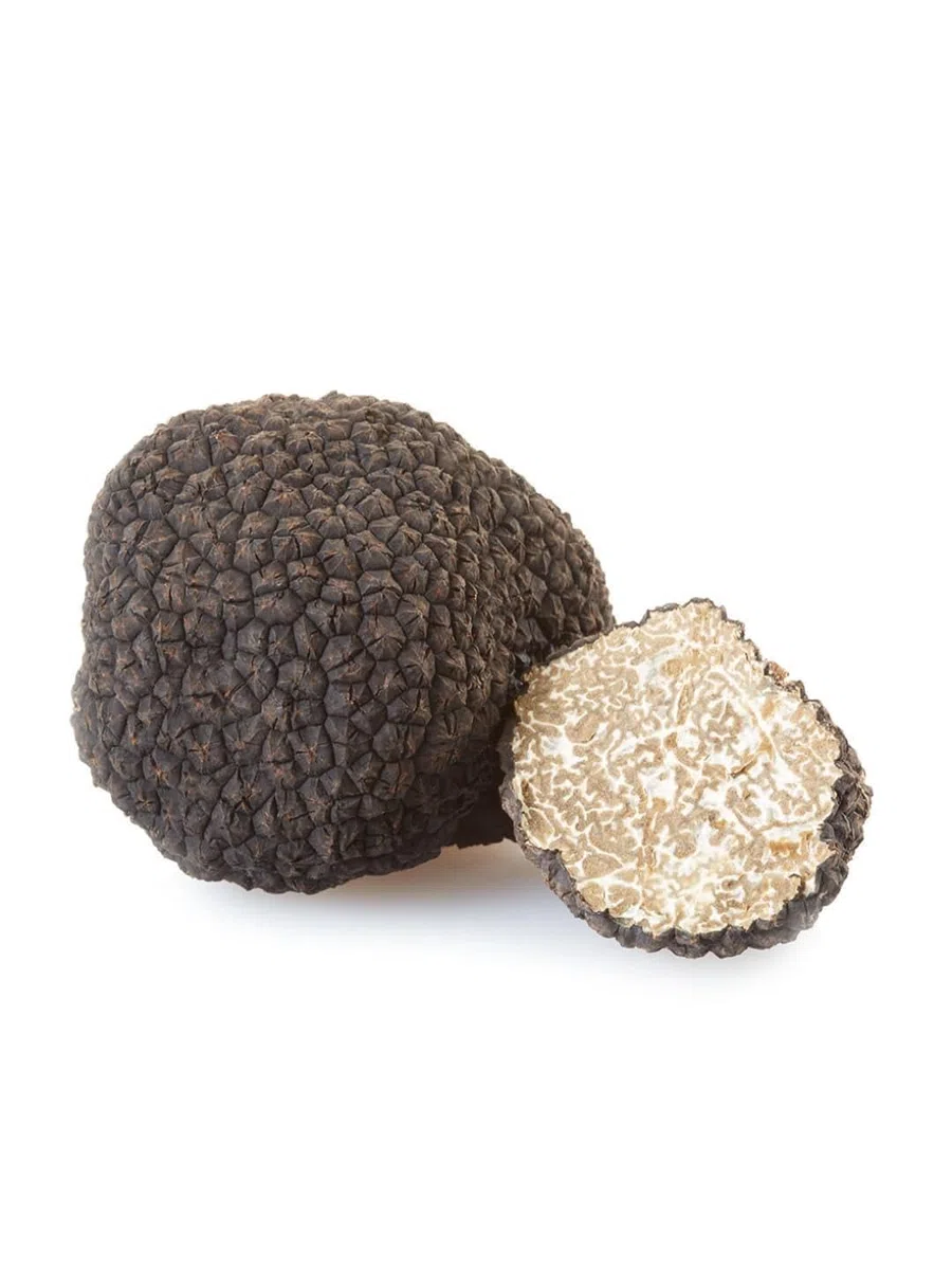 Frische Schwarze Trüffel | 100 gr | Schwarze Sommertrüffel | InterGourmandise