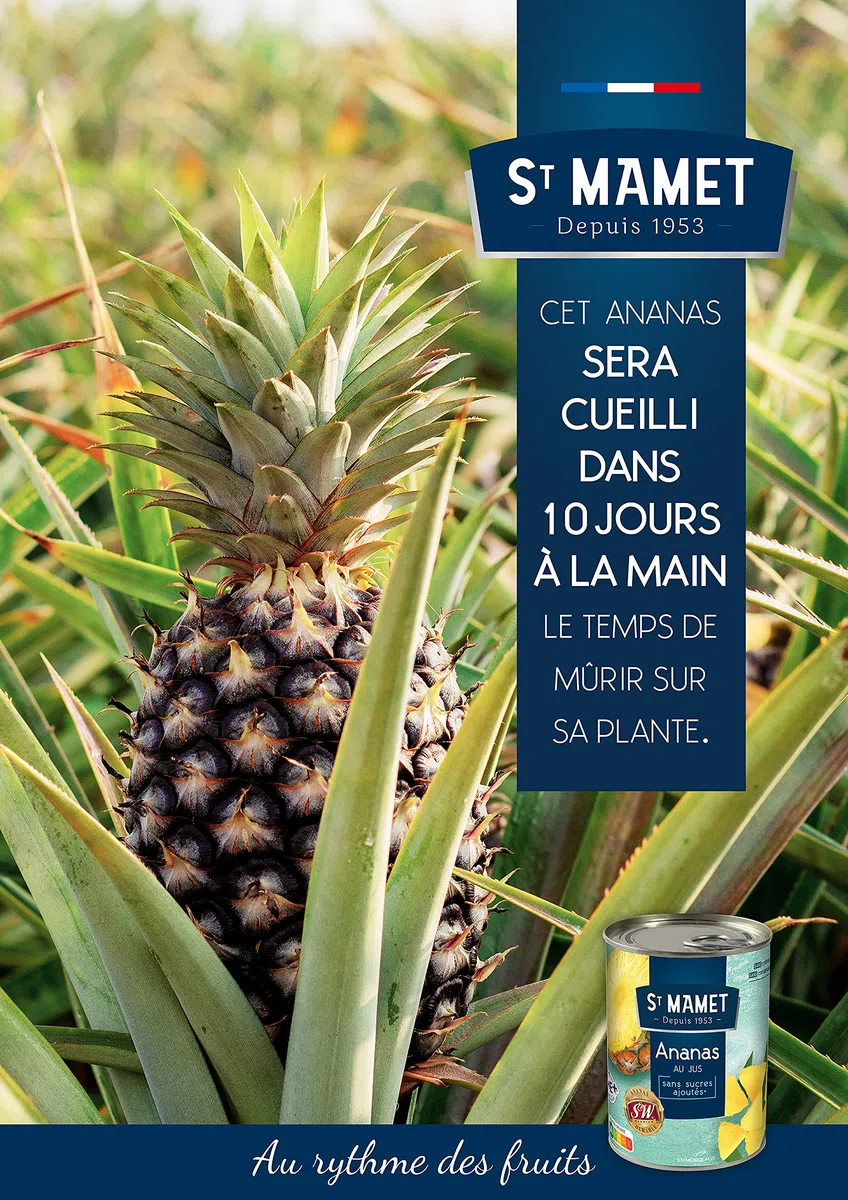 ST MAMET Ananasstücke ohne Zuckerzusatz 570 g
