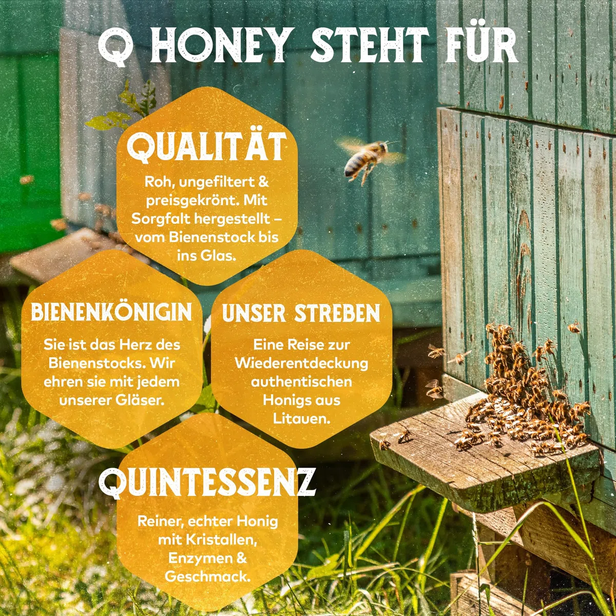 Q Honey Roher Wildblütenhonig 1kg, Imkerhonig aus Litauen, Platin 2026 | Naturbelassener Honig ohne Zusätze, ungefiltert - London Honey Award Platin 2026, ideal für Frühstück, Tee & Brot