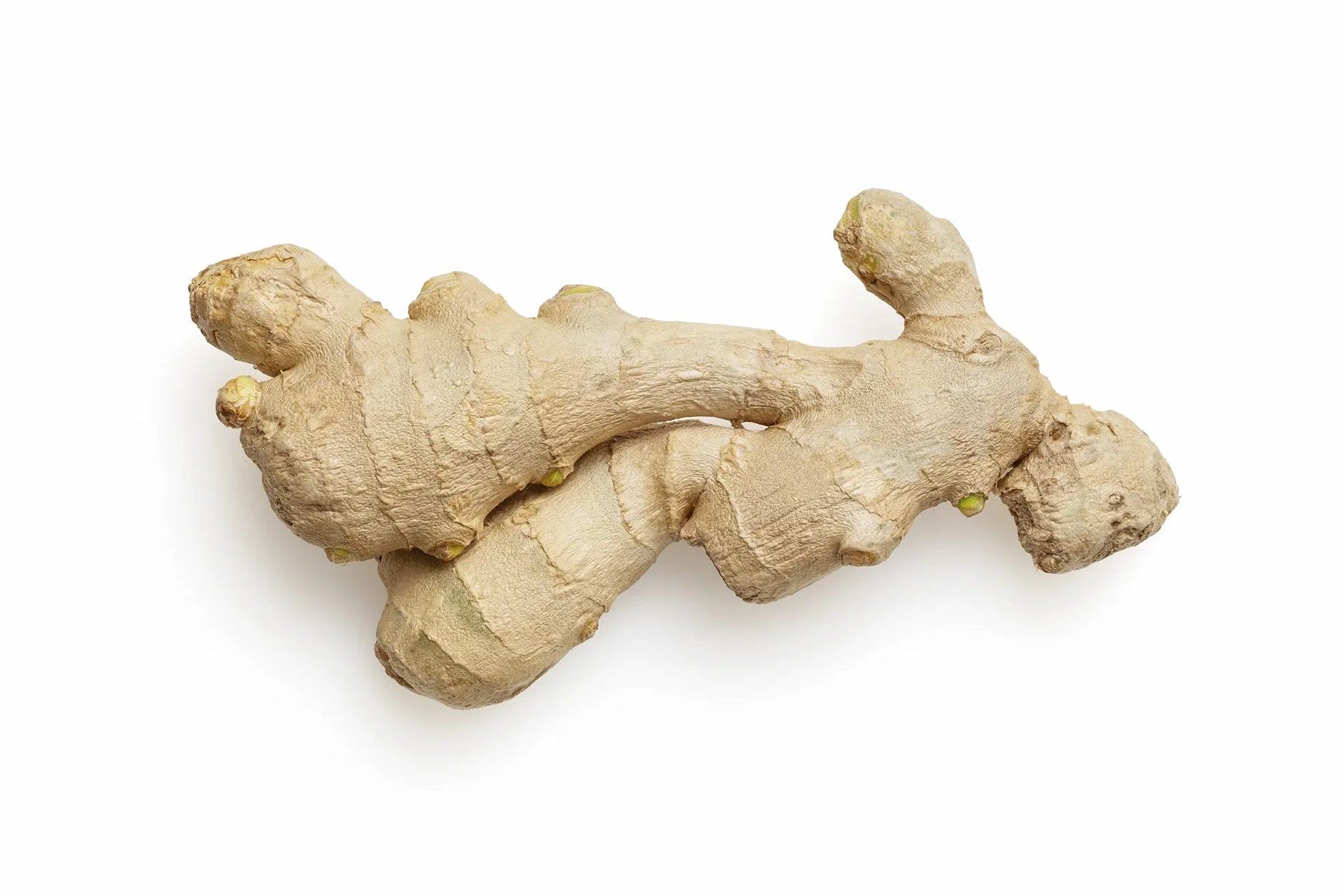 Kamelur 1kg Ingwer kandiert mild - kandierte Ginger Stäbchen in bester Qualität – kandierter Ingwer ungeschwefelt