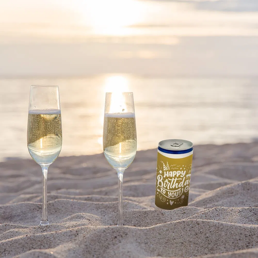 12 x City Secco 10% Vol. "Geburtstag" Mix je 200 ml EINWEGPFAND