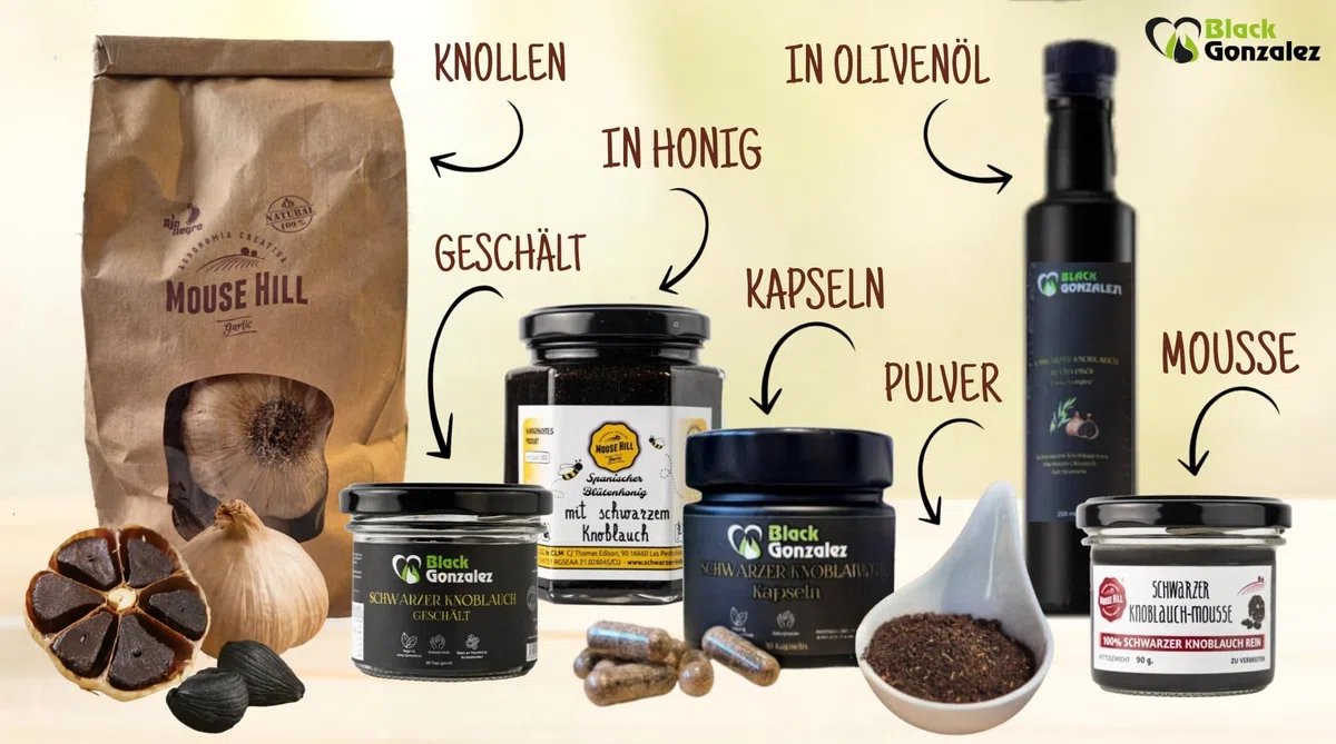 Hochwertiger violetter Knoblauch - aus Spanien - eine der edelsten Knoblauchsorten der Welt (500 g)