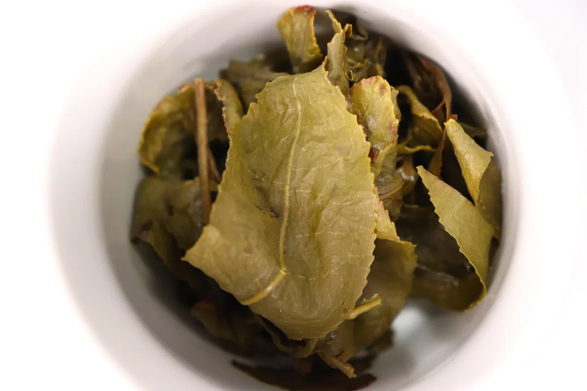 Formosa Jade Oolong, Tung Ting Jade Oolong, Premium Halbfermentierter Tee mit Grüntee Charakter Lose, Taiwanesischer Tee aus Nantou | WonderTea Formosa Jade Oolong Tea (100g)