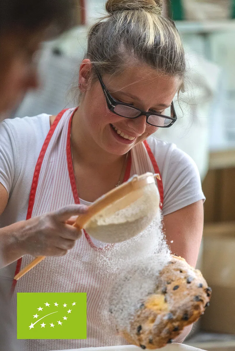 Bäckerei Spiegelhauer Bio Stollen vegan 1 kg lactosefrei