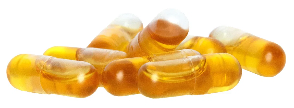 bioKontor Bio Schwarzkümmelöl Kapseln 180 Stück – ägyptisches Schwarzkümmelöl nativ kaltgepresst – 1000 mg pro Tagesdosis – Nigella Sativa Öl Kapseln vegan – Black Seed Oil Capsules