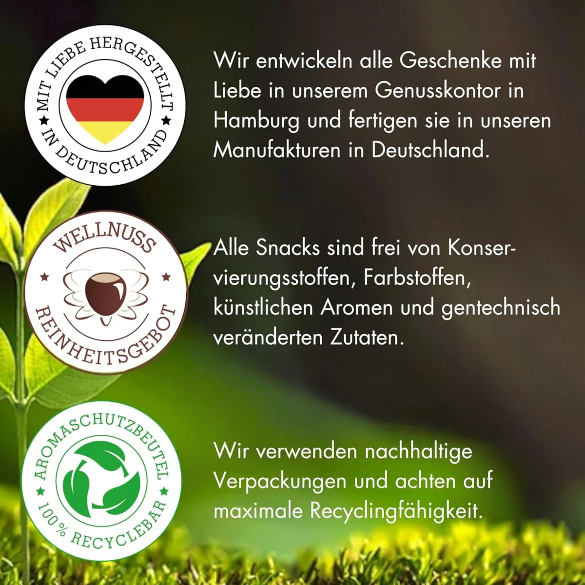 wellnuss "Limitierte Weihnachtsedition" - 4 Snacks im Geschenkkarton | Gourmet Snackmischungen für Erwachsene aus Nüssen, Früchten & Schokolade | Das Besondere Geschenk zu Weihnachten
