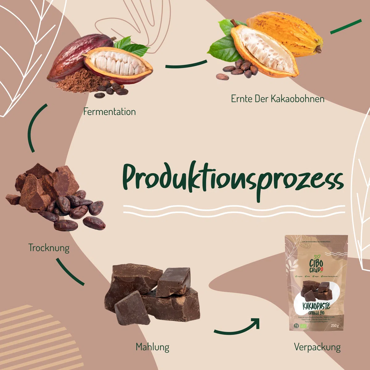 Kakaomasse Bio Roh - 250g. Criollo Kakao Bio zur Herstellung von Rohkakaomasse 100% Natürlich und Rein. Kakaopaste von Peru. Enthält Antioxidantien und Mineralien für Süßigkeiten Kekse und Kuchen.