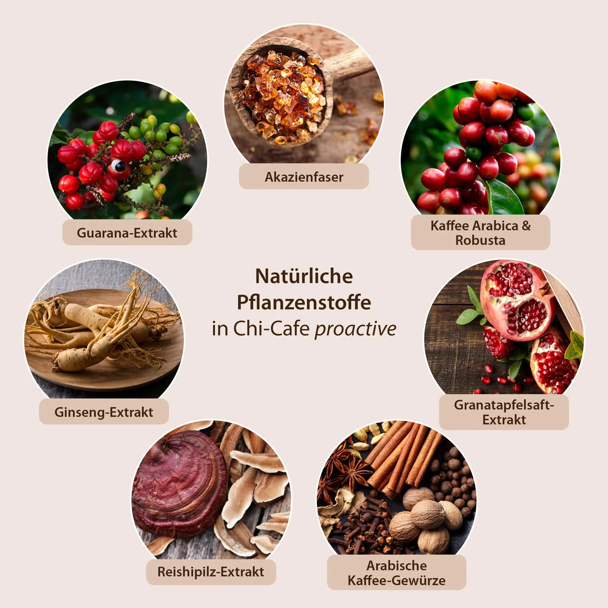 Dr. Jacob's Chi-Cafe proactive 360 g Dose I Kaffeehaltiges Getränkepulver I wild und würzig I mit Akazienfaser Ballaststoffen, Kaffee, Guarana, Ginseng, Gewürzen I Kaffee Alternative I 72 Tassen