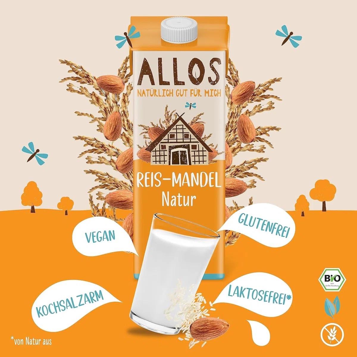 Allos Bio Reis Mandeldrink ungesüßt | Milchalternative aus Mandeln | Drink auf Pflanzenbasis | veganer Drink | ohne zugesetzten Zucker | vegan | laktosefrei | 1 Liter (6 Stück)