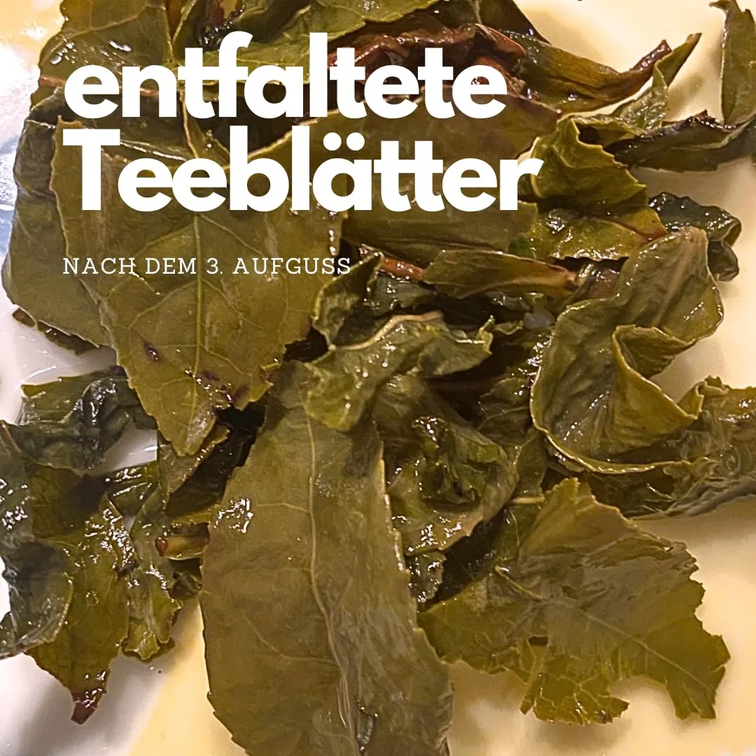Mrs. Tea Milky Oolong Tee | Premium Oolongtee mit Grüntee Charakter, Halbfermentierter Grüner Tee Lose | Cremige Milchnote | Chinesischer Oolong Tea 90 g