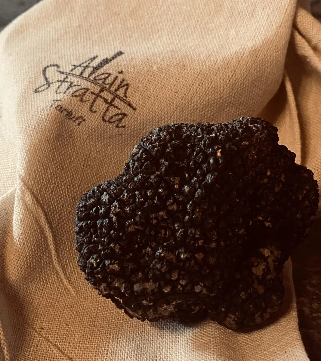 200 gr Frischer Schwarzer Trüffel 'Uncinato' (Tuber Uncinatum Chatin). 1. WAHL, Stückgröße zwischen 5g und 100gr, je nach Verfügbarkeit