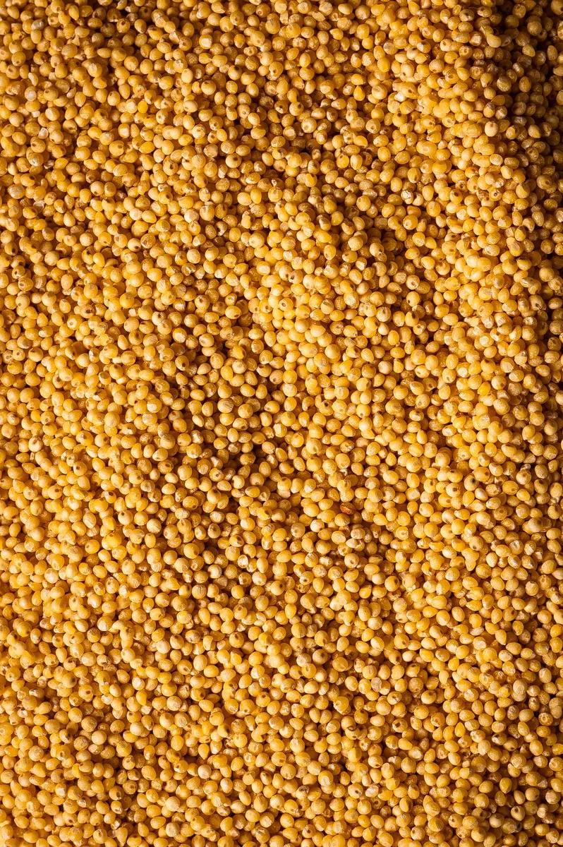 Biojoy BIO-Hirse (2,5 kg), ganzes Korn, Goldhirse ohne Zusätze