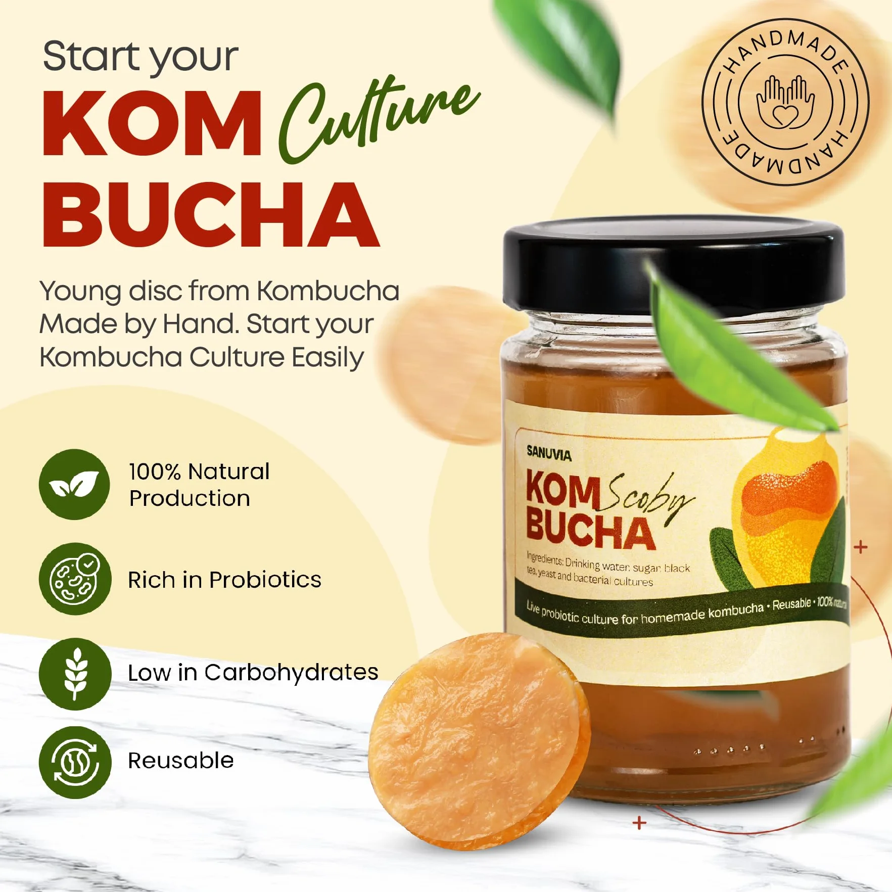 SANUVIA Kombucha SCOBY Starterkultur - Teepilz mit 300 ml Startertee im Glas - Vegan, Live-Kultur, wiederverwendbar - Anleitung auf Etikett - 100% natürlich