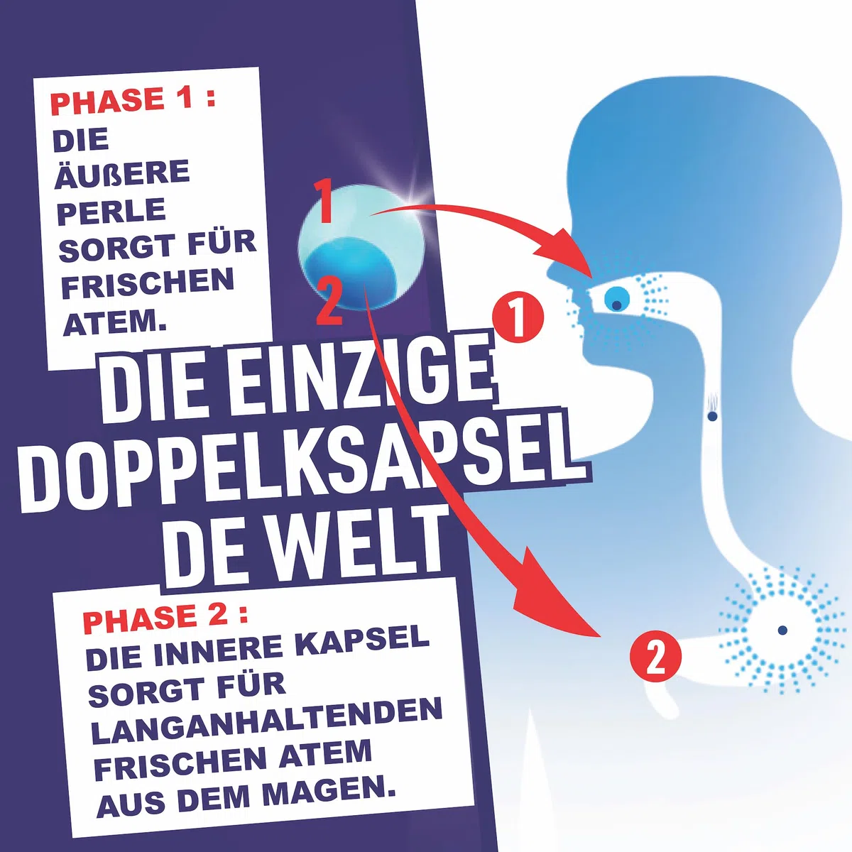 PaperMints CoolCaps – 4 Pack mit je 40 zuckerfreien Minzperlen – Für frischen Atem und gegen Mundgeruch – Schnelle Linderung bei Mundtrockenheit – Doppelte Wirkung – Insgesamt 160 Kapseln