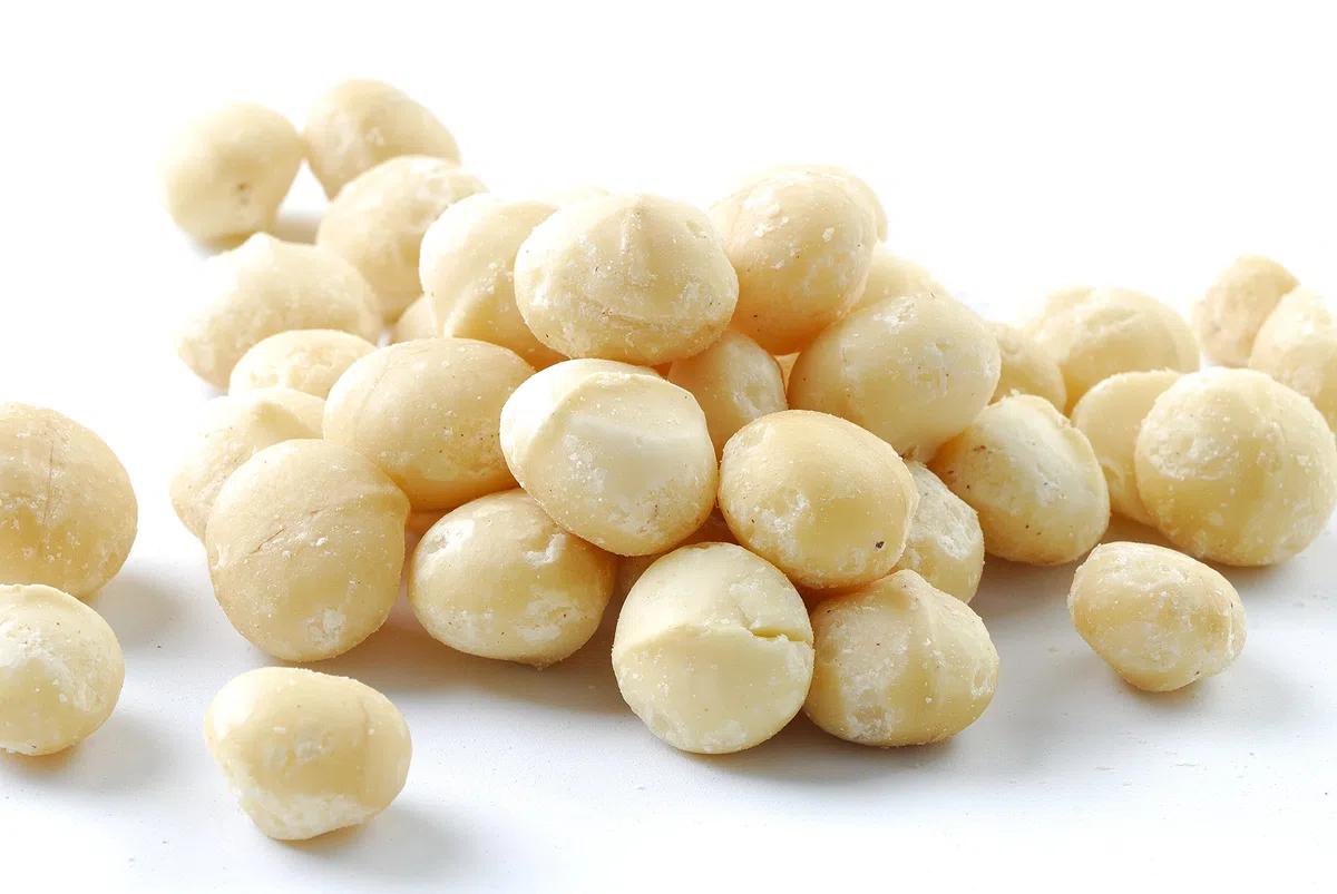 Macadamianüsse Bio zertifiziert in höchster Güteklasse | Naturbelassen, roh und ungesalzen | Macadamia Nüsse ganze Kerne | Wiederverschließbar | Direkt und fair gehandelt aus Kenia | 1000 Gramm