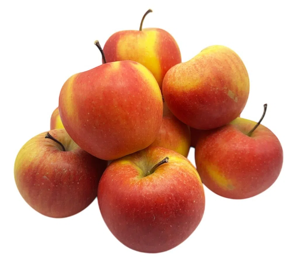 BLEICHHOF® Äpfel Rubinella – knackig-fruchtig, aromatisch mit feiner Tropennote, Neue Ernte (5 kg)