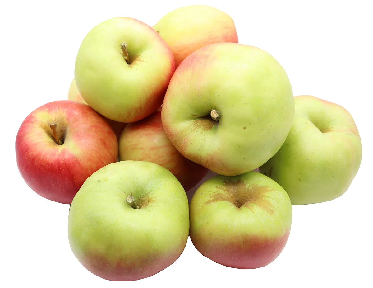 Bleichhof Äpfel Cadel - süß-säuerliche feste Sorte aus der Pfalz (3kg) neue Ernte