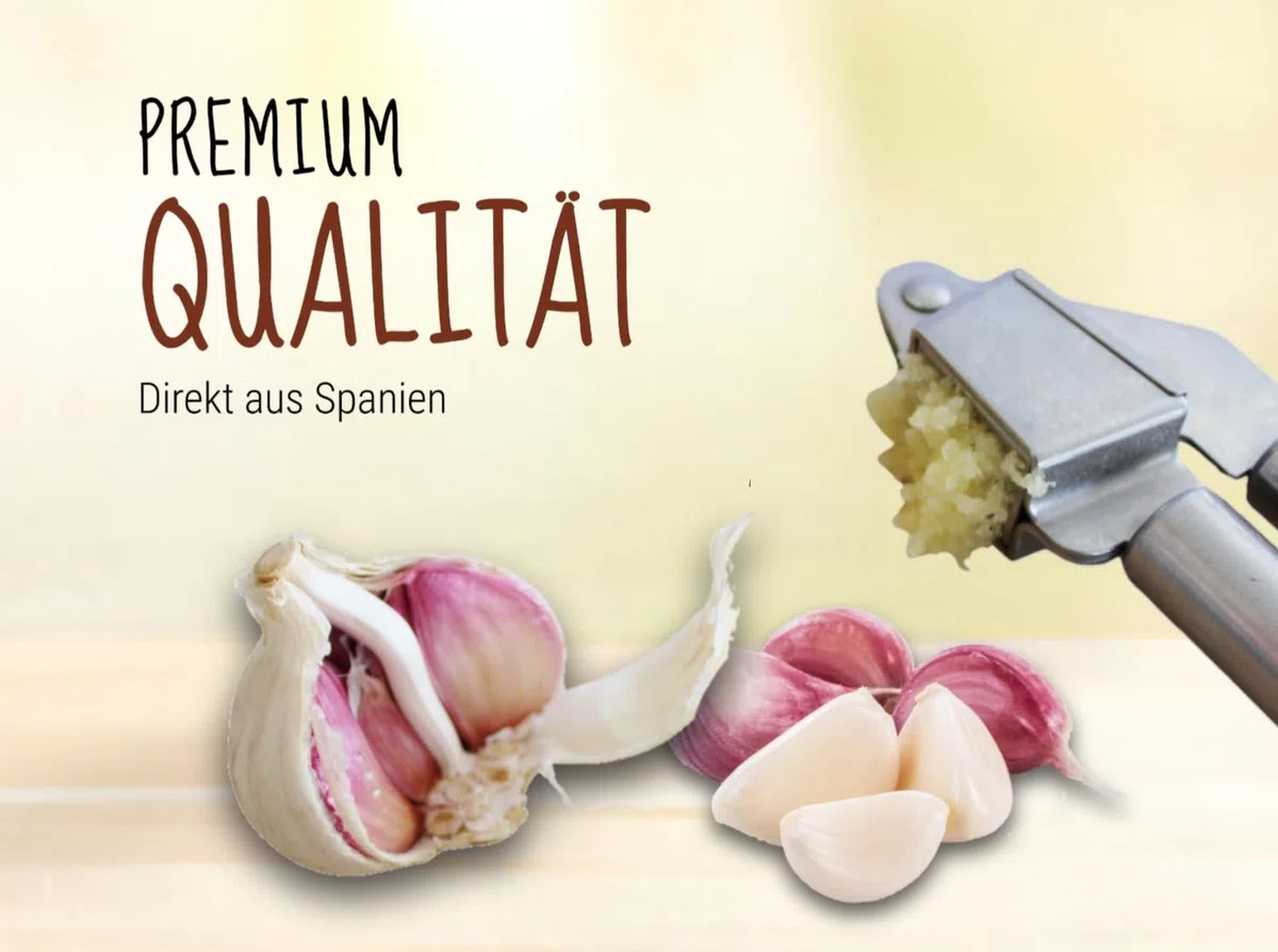 Hochwertiger violetter Knoblauch - aus Spanien - eine der edelsten Knoblauchsorten der Welt (500 g)