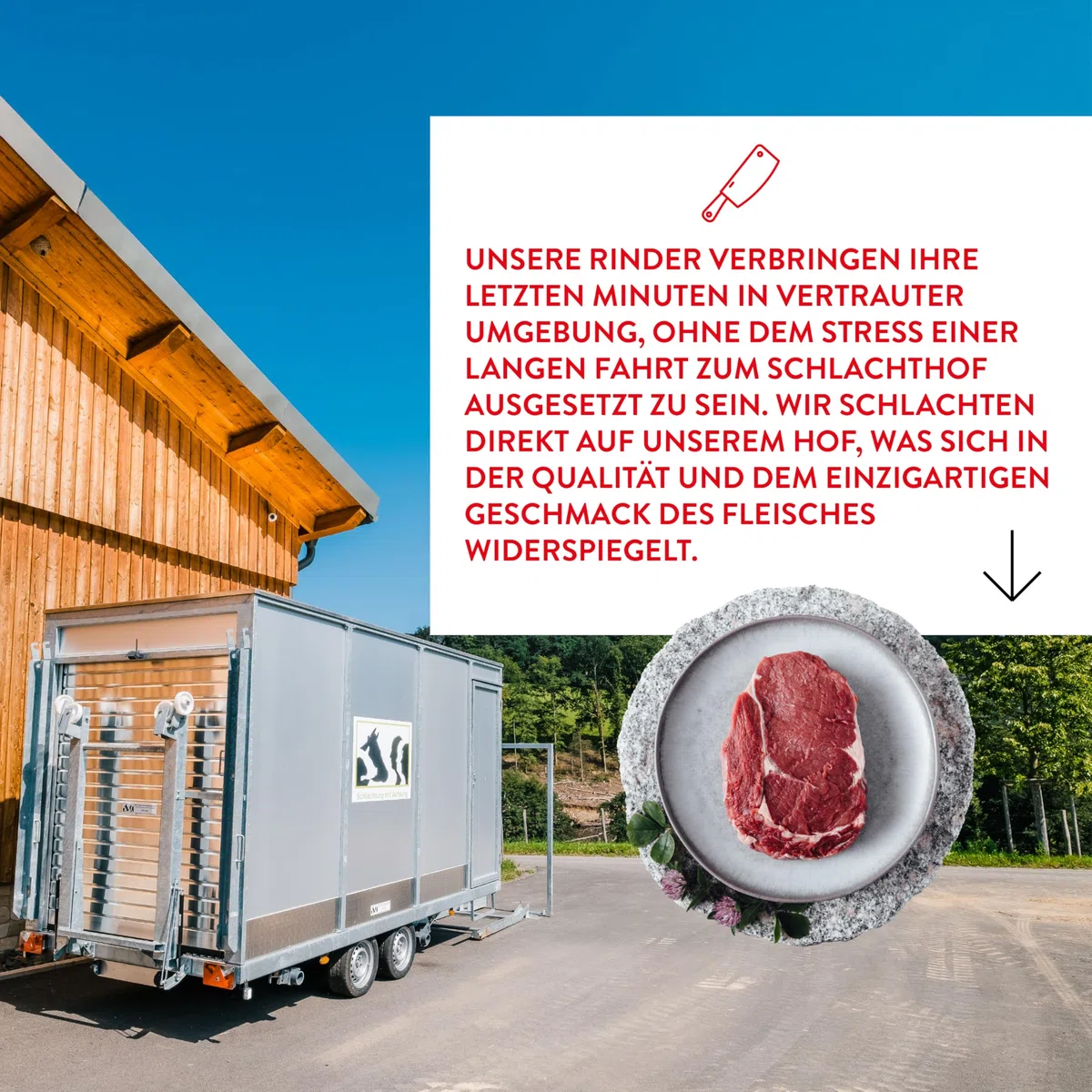 Hofgut Stöcken | Bio-Chili con Carne vom Testsieger | Bio-Fertiggericht im Glas | ohne Zusatzstoffe (620ml)