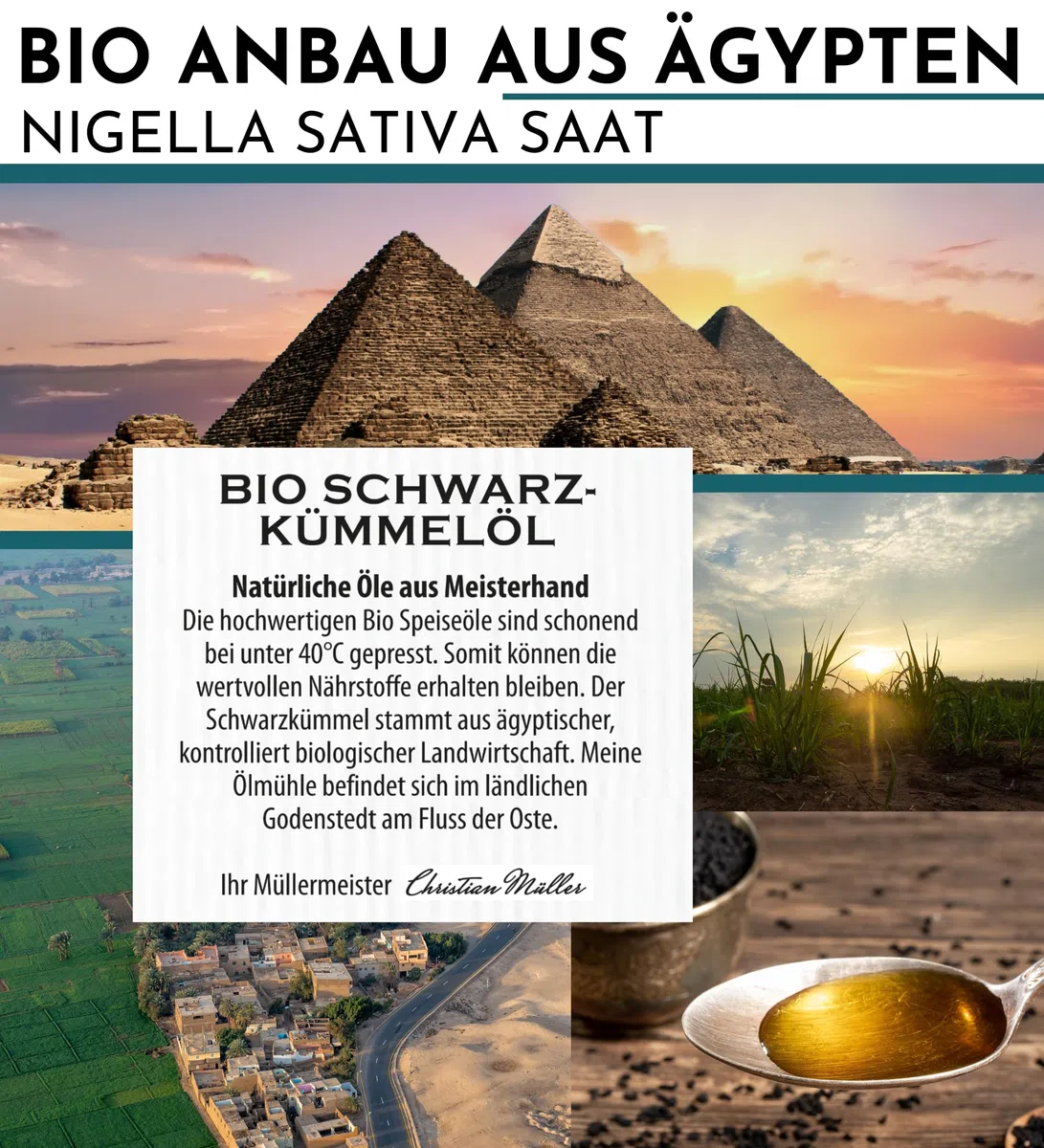 Bio Schwarzkümmelöl ungefiltert, hoher Thymochinon Gehalt, 2 x 500ml | hoher Thymochinon Gehalt
