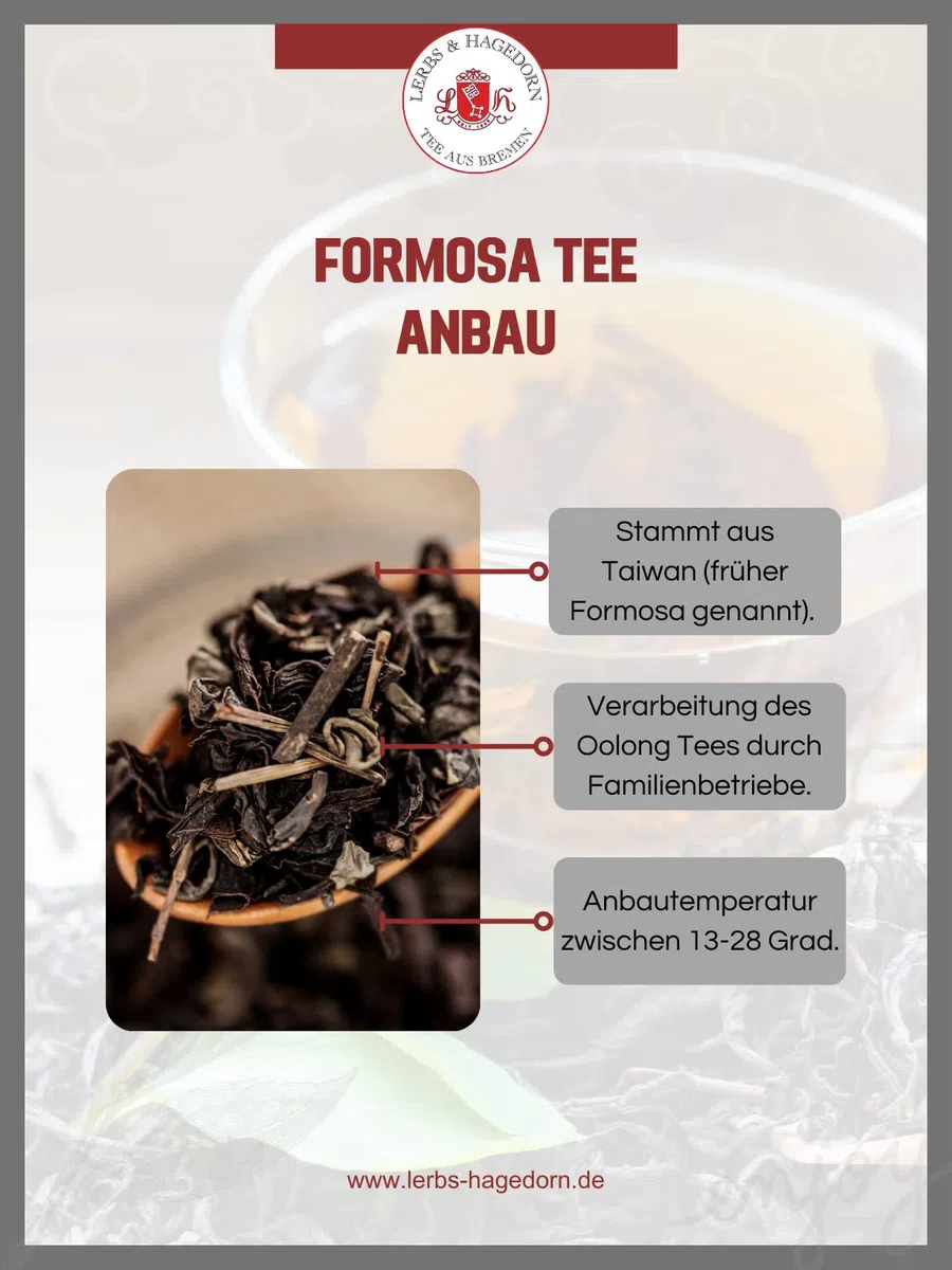 Lerbs & Hagedorn, Aromatisierter Oolong Tee Formosa Orangenblüten Oolong | Mild Aromatisch Frucht Orange 250g (ca. 21 Liter)