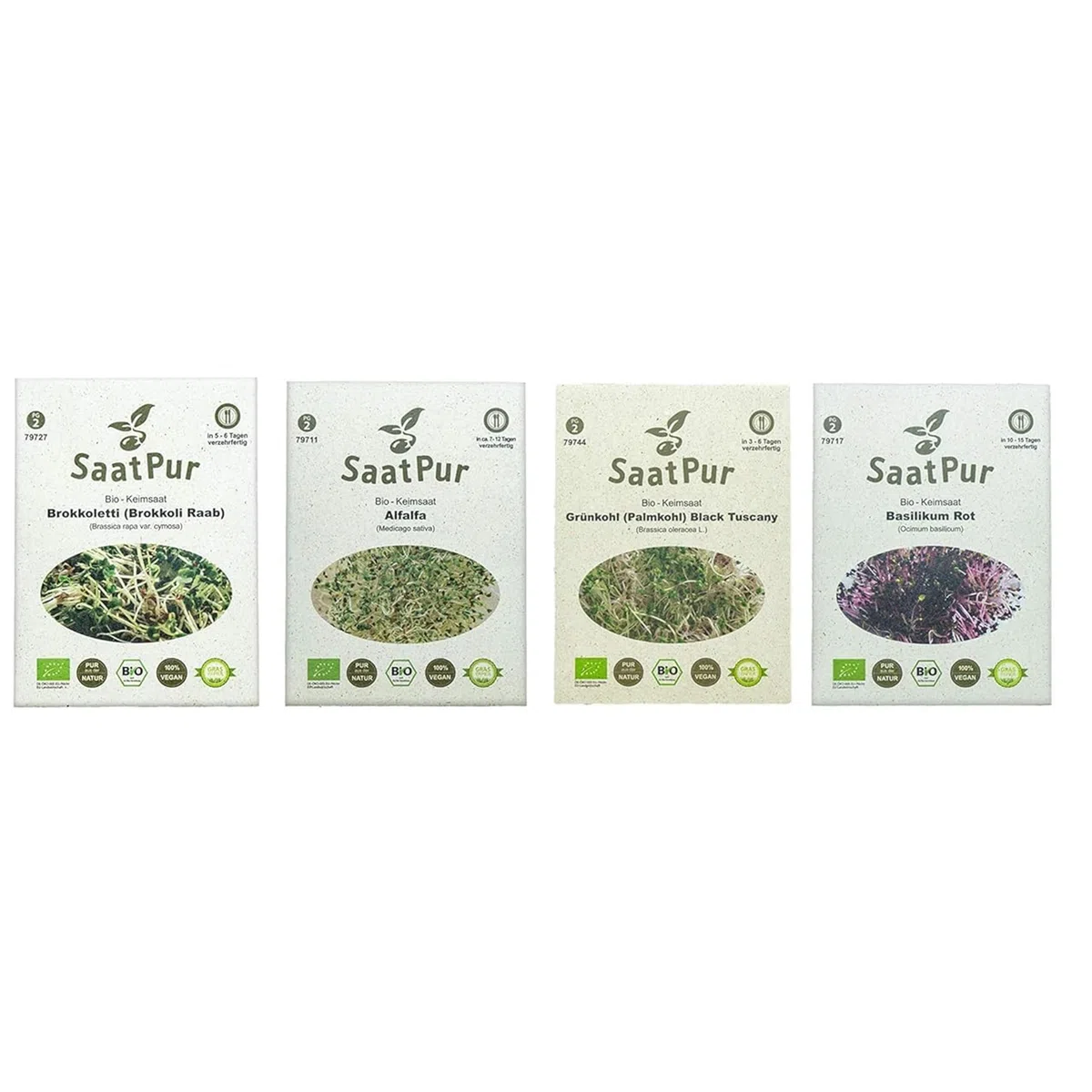 SaatPur BIO Keimsprossen Sortiment 4 Sorten Superfood Mix Mischung - Brokkoletti Alfalfa Grünkohl Basilikum