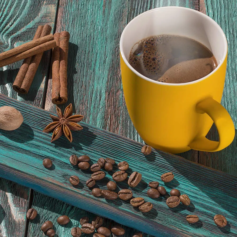 Dr. Jacob's Chi-Cafe proactive 360 g Dose I Kaffeehaltiges Getränkepulver I wild und würzig I mit Akazienfaser Ballaststoffen, Kaffee, Guarana, Ginseng, Gewürzen I Kaffee Alternative I 72 Tassen