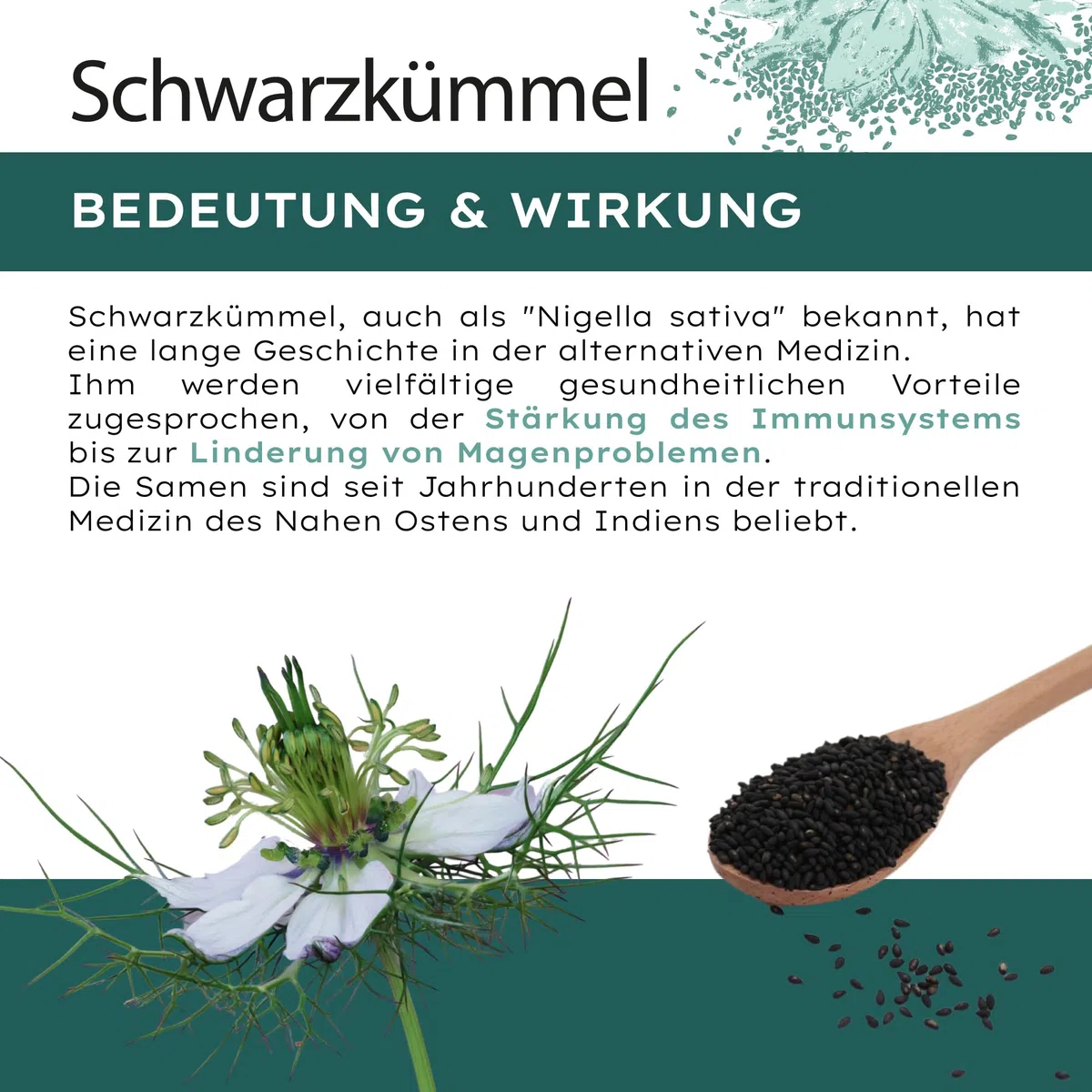Schwarzkümmelöl - 180 Kapseln hochdosiert / 500 mg hochwertiges Schwarzkümmelöl & 250 mg Linolsäure je Kapsel/Vegan & Nachhaltig