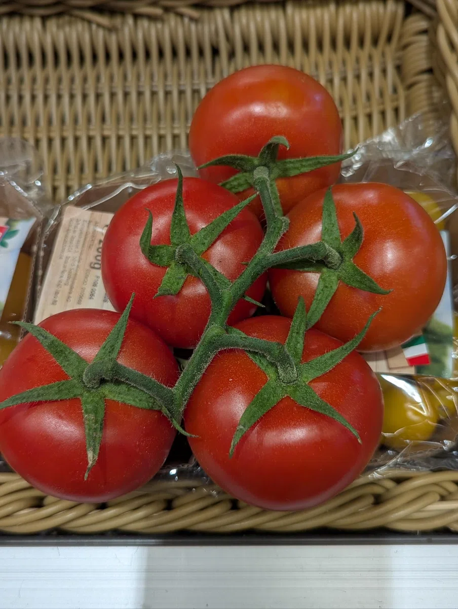 Frische Rispentomaten | Strauchtomaten | Fleischtomaten (1000 g)
